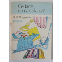 CE FACE UN CALCULATOR ? de RULF NEIGENFIND , MINIENCICLOPEDIE DE CALCULATOARE (VOLUMUL III ) , 1991