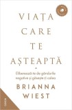 Carti Beletristica Romane Viata care te asteapta Paperback brosat Nemira