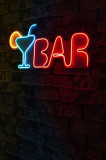 Decoratiune luminoasa LED, Bar, Benzi flexibile de neon, DC 12 V, Multicolor, Neon Graph