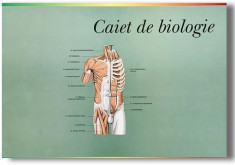 Caiet biologie mare, 24 file foto