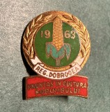 Fruntas in cultura porumbului regiunea Dobrogea 1963 RPR