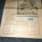 REVISTA ALBINA NR 5 1983
