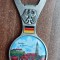 D4 - Magnet frigider - tematica turism - desfacator bere - Germania 1