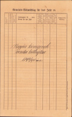 HST A1203 Buget cheltuieli 1894/1895 grădinița de copii Tomnatic Timiș Banat foto