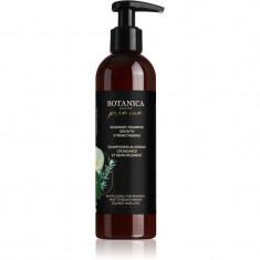 Soaphoria Botanica Slavica Rosemary sampon intens pentru întărirea și creșterea părului 250 ml