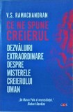V. S. Ramachandran - Ce ne spune creierul. Dezvaluiri extraordinare despre