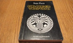 SASA PANA - Culoarea Timpului poeme - Editura Cartea Romaneasca, 1977, 120 p.; tiraj: 1370 ex.; coperta originala