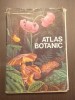 ATLAS BOTANIC - LUCIA POPOVICI 1973