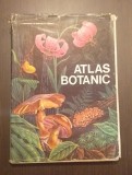 ATLAS BOTANIC - LUCIA POPOVICI 1973