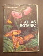 ATLAS BOTANIC - LUCIA POPOVICI 1973