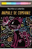 Animale de companie. Recitam si coloram