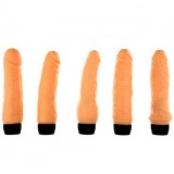 Cumpara ieftin Seturi cu vibratoare - Placeri Penetrante Cei 5 Magnifici Set de Vibratoare Realiste