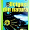 UCIGASI DIN NATURA - O LUME FASCINANTA IN DATE SI CIFRE , COLECTIA &amp;amp,quot, INTREBARI SI RASPUNSURI &amp;amp,quot, de DIANE STEPHENS