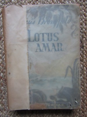 LOTUS AMAR-LOUIS BROMFIELD foto