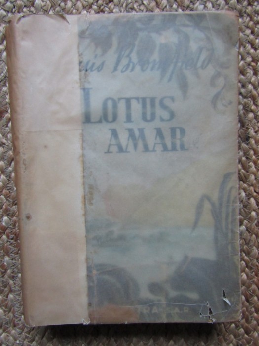 LOTUS AMAR-LOUIS BROMFIELD