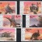 Kazahstan 1995-FAUNA PASARI VULTURI-Serie completa de 6 timbre nestampilate