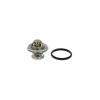 Termostat lichid racire MERCEDES-BENZ limuzina W124 BEHR TX2985D