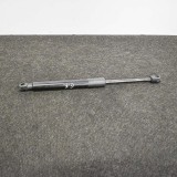 Amortizor haion st&acirc;nga TESLA MODEL 3 2018 OEM: 1091560-00-B 10829009