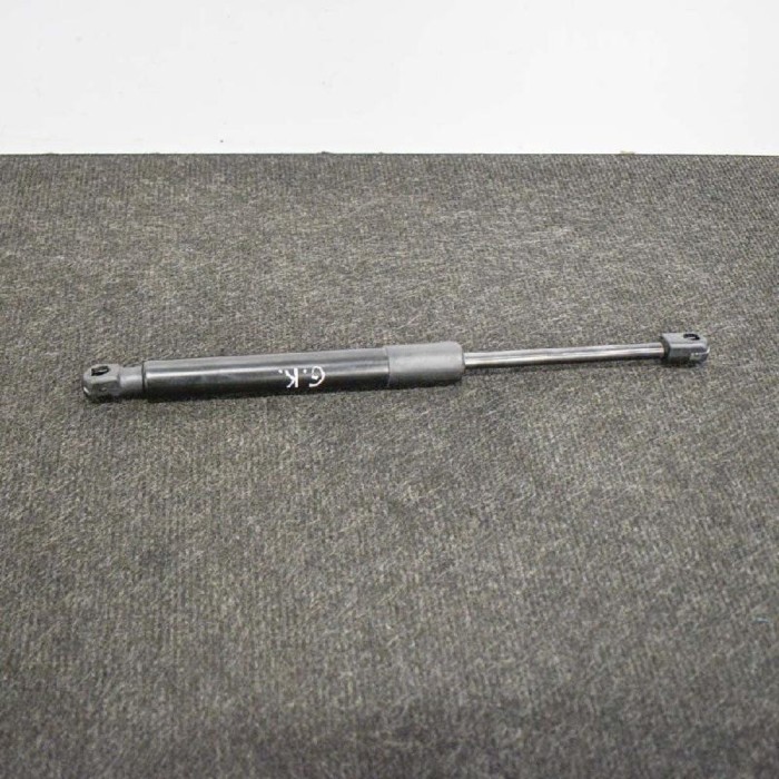 Amortizor haion st&acirc;nga TESLA MODEL 3 2018 OEM: 1091560-00-B 10829009