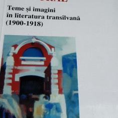 ISTORIE SI SEMN CULTURAL TEME SI IMAGINI IN LITERATURA TRANSILVANIA 1900-1918