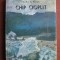Pearl S. Buck - Chip cioplit