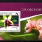 TOGO 2014, Flora, Orhidee, neuzat, MNH