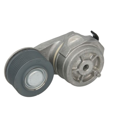 Intinzator curea transmisie Dayco Daf foto