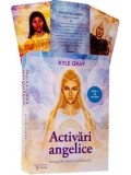 Cumpara ieftin Activari angelice (set carte + cartoline)/Kyle Gray