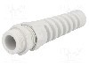 Presetupa poliamida, PG13,5, IP68, HSK-K-FLEX, HUMMEL - 1.293.1300.14 -AS foto