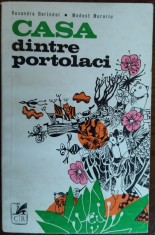 RUXANDRA BERINDEI / MODEST MORARIU: CASA DINTRE PORTOLACI (SCHITE) [editia princeps, 1976]
