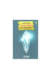 Steaua Sudului. Țara diamantelor - Paperback brosat - Jules Verne - Ştefan