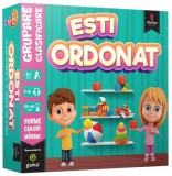 Joc Educativ pentru Copii - Dezvoltare G&acirc;ndire Logică și Abilități de Clasificare
