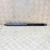 Amortizor Haion Dreapta BMW Seria 6 Coupe F13 (2011-2018) OEM 7360584