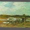 CPIB 19678 CARTE POSTALA - NICOLAE GRIGORESCU - CAR CU BOI