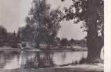 Bucuresti. Lacul Herastrau (circulata 1958)
