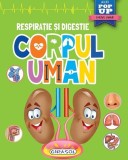 Mini pop-up: Corpul uman. Respirație si digestie - Hardcover - *** - Girasol