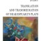 Translation and Transmediation of Shakespeare&rsquo;s plays &ndash; Alexandra-Stefania Tiulescu