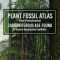 Plant Fossil Atlas From (Pennsylvanian) CARBONIFEROUS AGE FOUND in Central Appalachian Coalfields