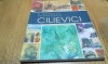 MARIUS CILIEVICI - Ion Lazar (autograf) - Editura Kondyli, 2014, 159 p., Alta editura