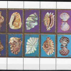 Palau 1984 Mi 37/46 block MNH - Midii și melci de mare