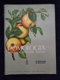 Pomologia Republicii Socialiste Romania, vol. 2. Marul