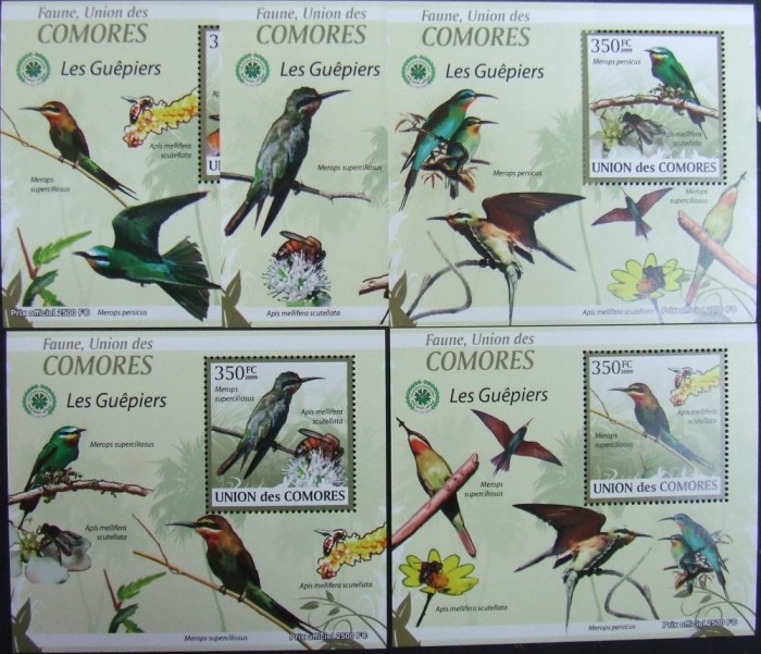 INS.COMORE-PASARI CANTATOARE-5 COLITE DELUX-MNH**-ICO 149A