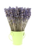 Cumpara ieftin Aranjament floral - Galetusa cu lavanda, verde | Fleurane