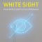 White Sight: Visual Politics and Practices of Whiteness