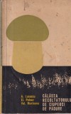 A. Lucescu, El. Poleac, Val. Munteanu - Calauza recoltatorului de ciuperci de