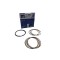 Set segmenti piston Mahle