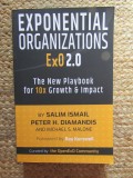 Exponential Organizations 2.0: The New Playbook for 10x Growth and Impact - Salim Ismail Peter H. Diamandis