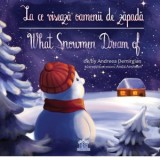 La Ce Viseaza Oamenii De Zapada Andreea Demirgian - Didactica Publishing House