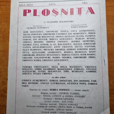 program teatrul national-plosnita,d. radulescu,g.dinica,draga olteanu,cozorici