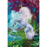 Puzzle Schmidt: Unicorn in Gradina Fermecata, 60 piese